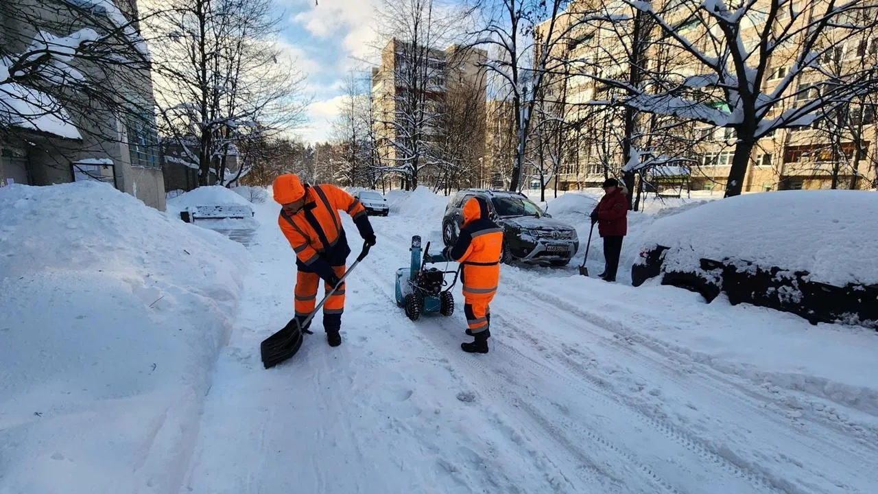 REGIONS/Анна Мороз