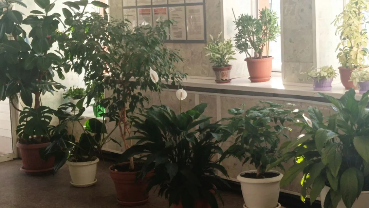 REGIONS/Наталья Пичугина