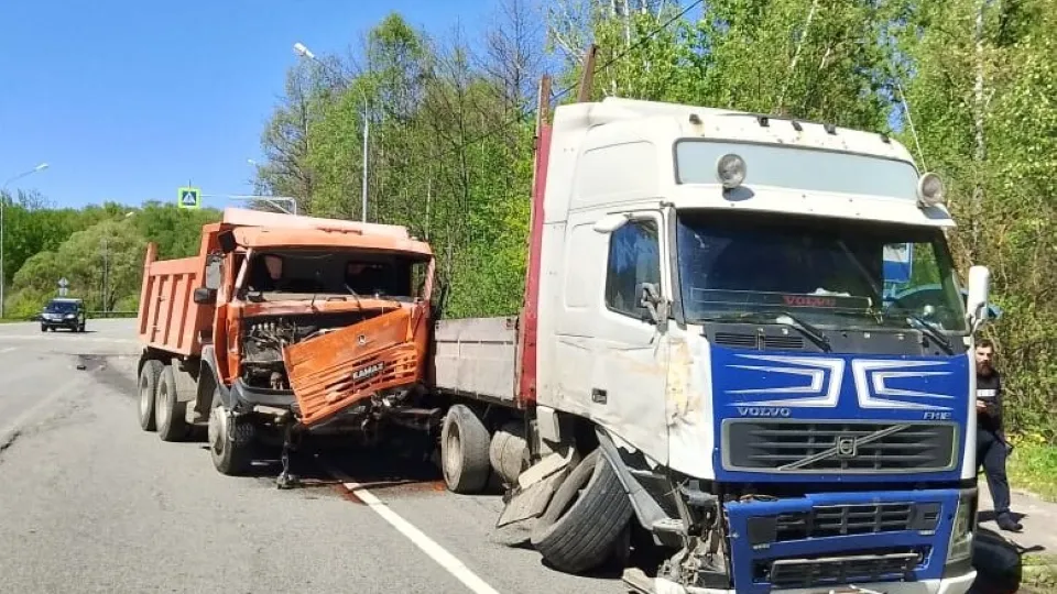 Фото: ГКУ МО «Мособлпожспас»