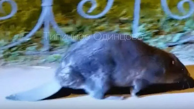 Типичное Одинцово / ВКонтакте