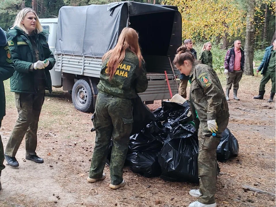 Фото: Комитет лесного хозяйства МО