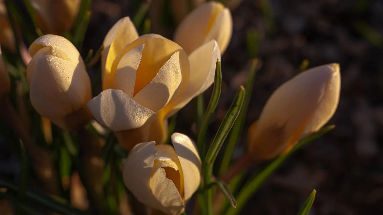 медиасток.рф