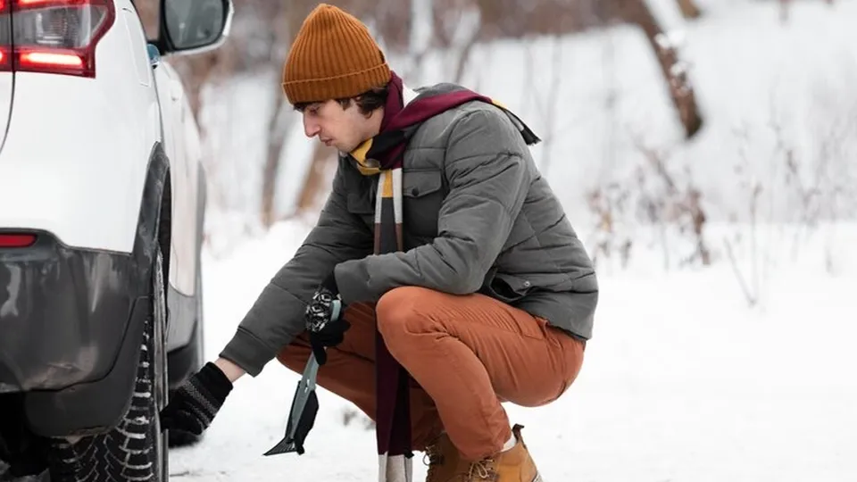 Фото: freepik.com