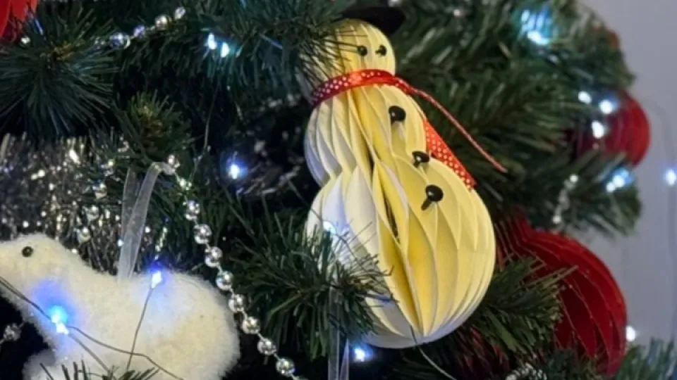 Фото: REGIONS/Дарина Левкина