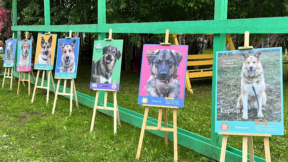 Фото: МедиаБанк Подмосковья/Данила Кирьянов