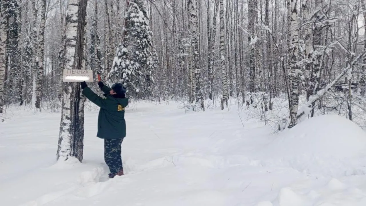 t.me/egorevskoelesnichestvo