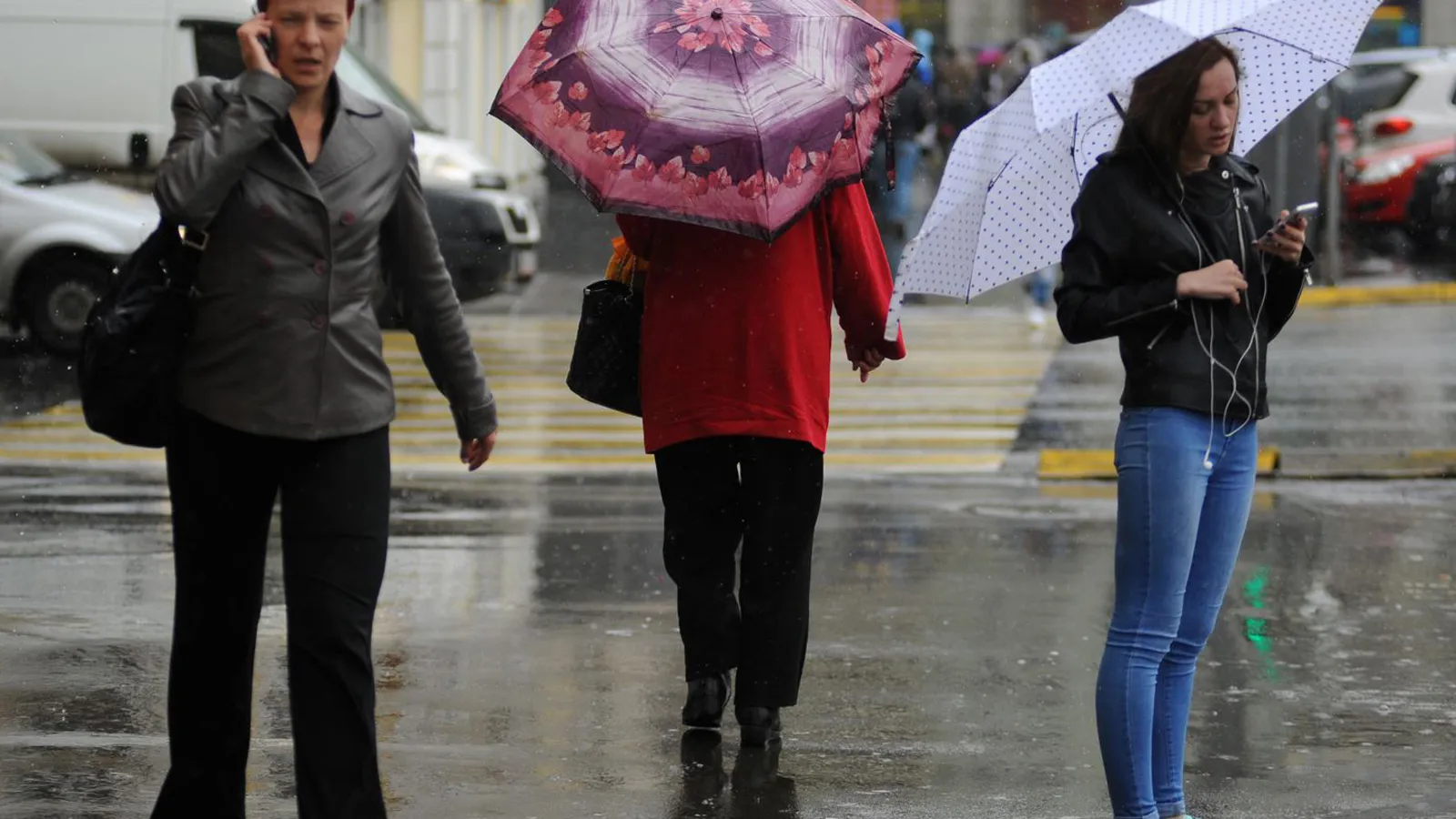 Фото: медиасток.рф