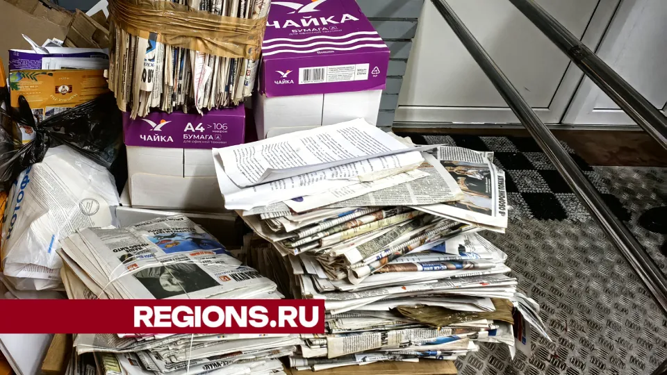 Фото: МедиаБанк Подмосковья/Елена Катасонова