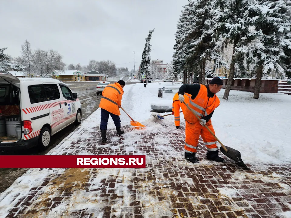 Фото: Дмитрий Алексеенко