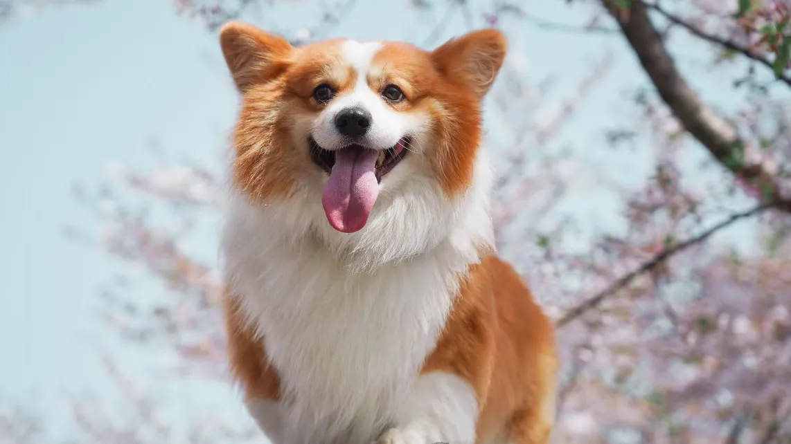 Фото: unsplash.com