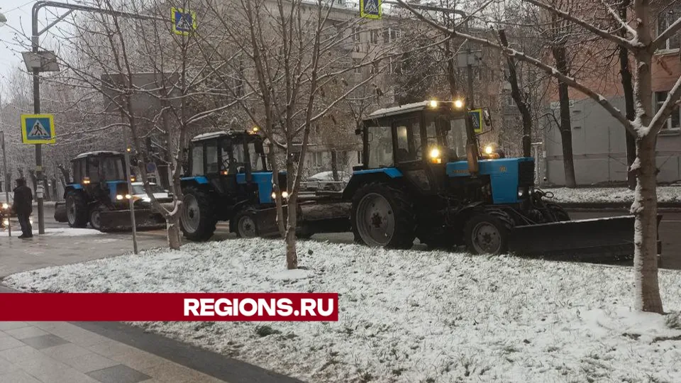 Фото: пресс-служба администрации г.о. Дзержинский