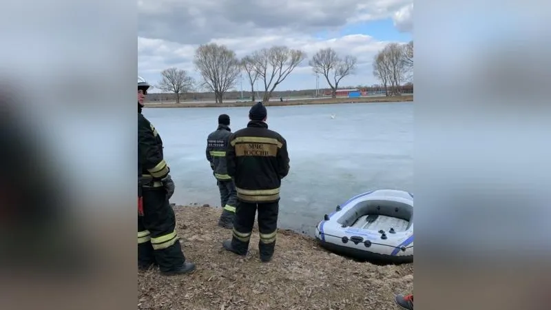 Бродячего пса вызволили из ледяной западни в Бронницах