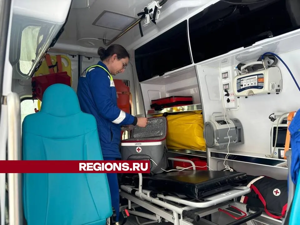 Фото: Светлана Плотникова