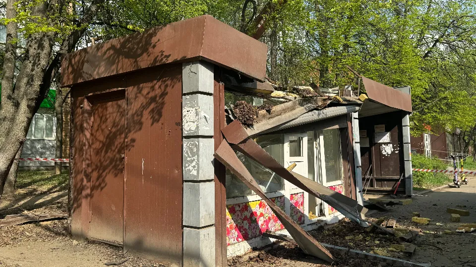 Фото: МедиаБанк Подмосковья/Полина Абраменко