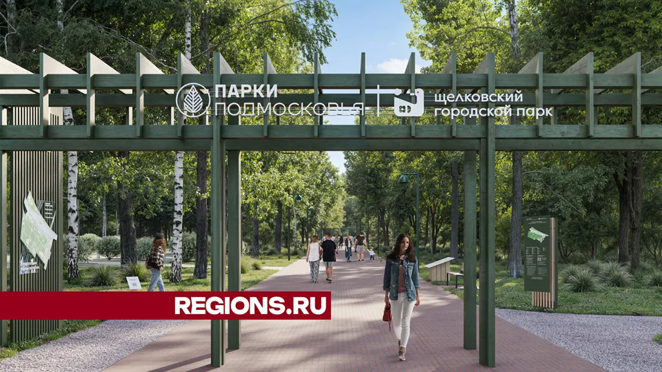 Входные группы в центральном парке выполнят в едином экостиле. Фото: проектные решения