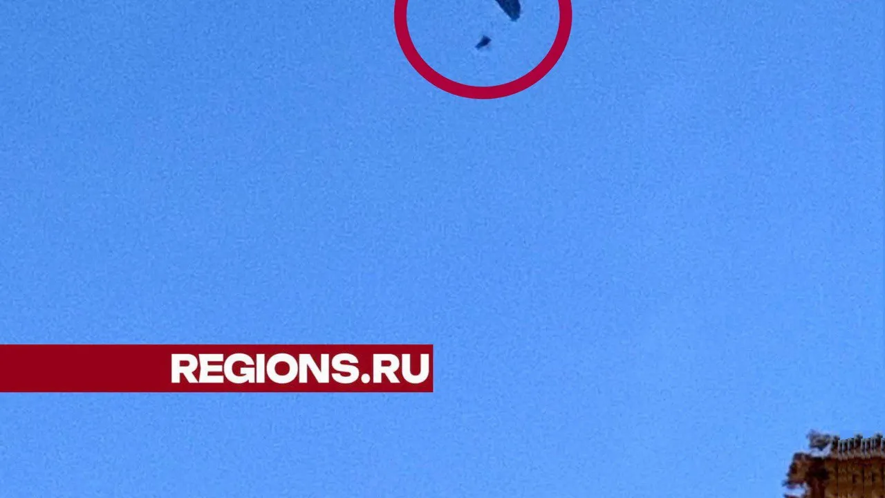 Фото: t.me/zaxbal