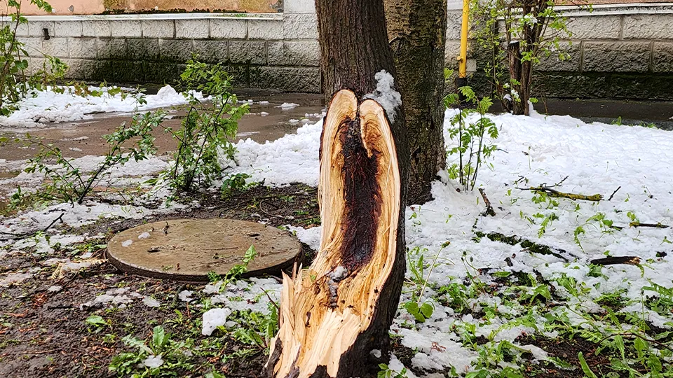 Фото: МедиаБанк Подмосковья/Валентина Максимова