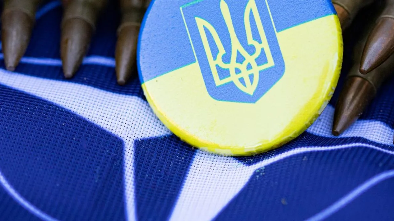 НАТО снял с повестки вопрос членства Украины в альянсе на предстоящем саммите