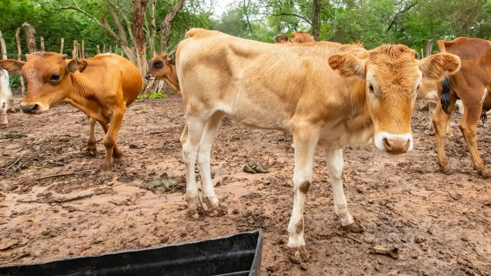 Фото: freepik.com