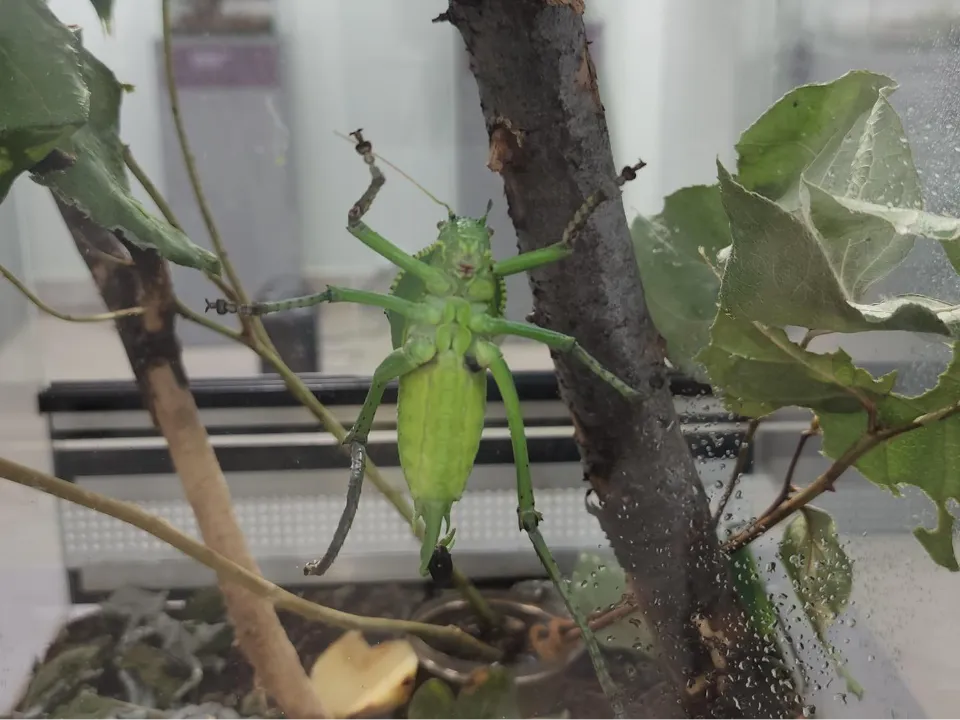 Фото: МедиаБанк Подмосковья/Наталья Лымарь