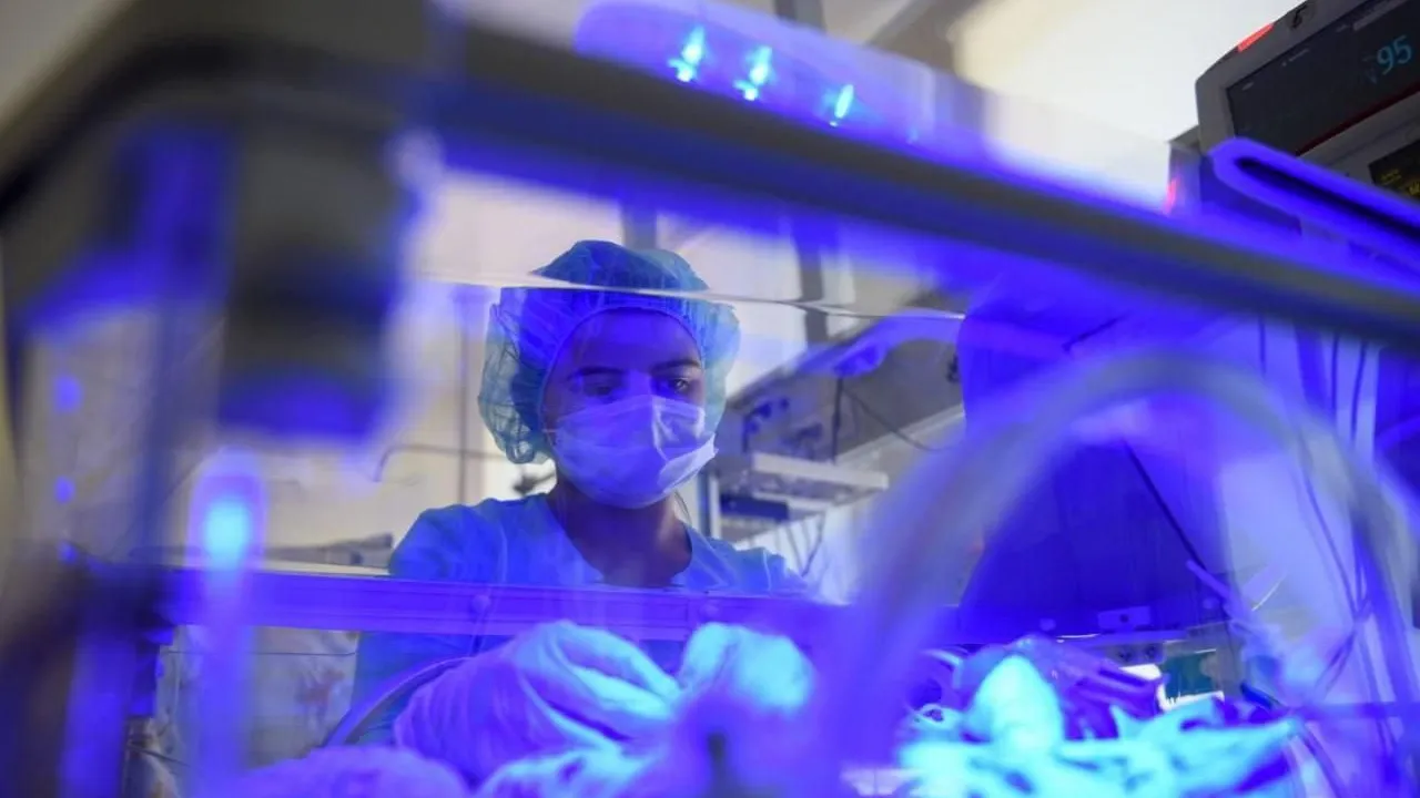 Фото: Министерство здравоохранения Московской области