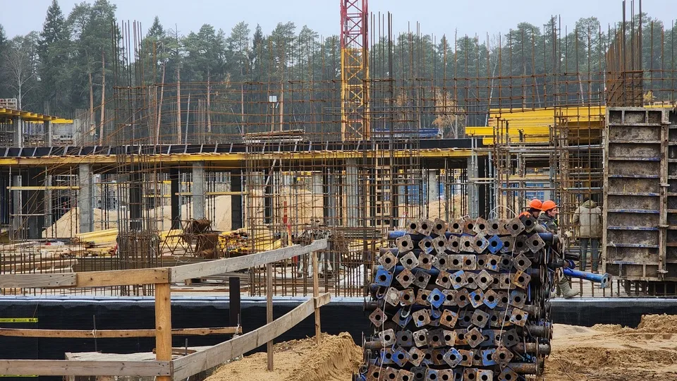 Фото: МедиаБанк Подмосковья/Ольга Аввакумова