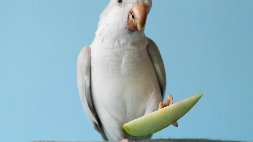 Иллюстративное изображение.  Фото: freepik.com