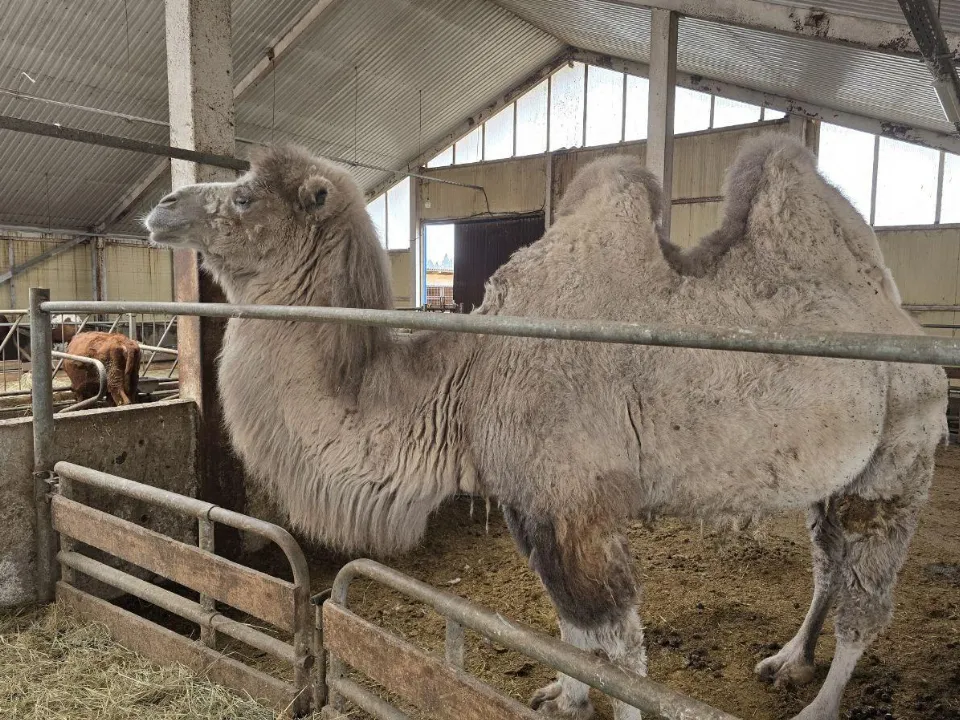 Фото: Яна Шаливская