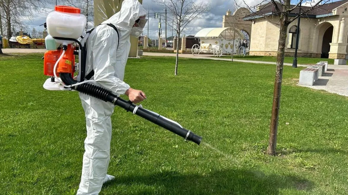 Фото: Министерство благоустройства МО