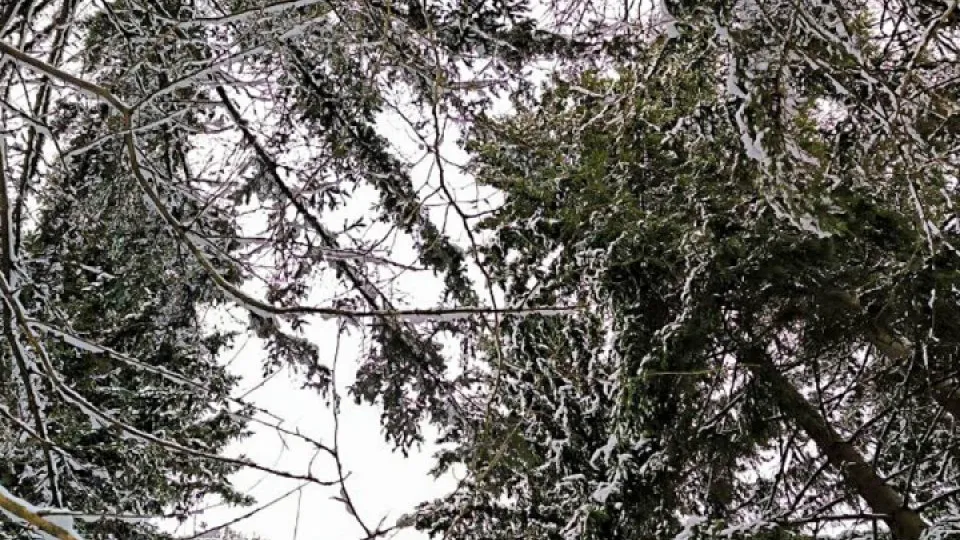 Фото: REGIONS/Роман Малышенко