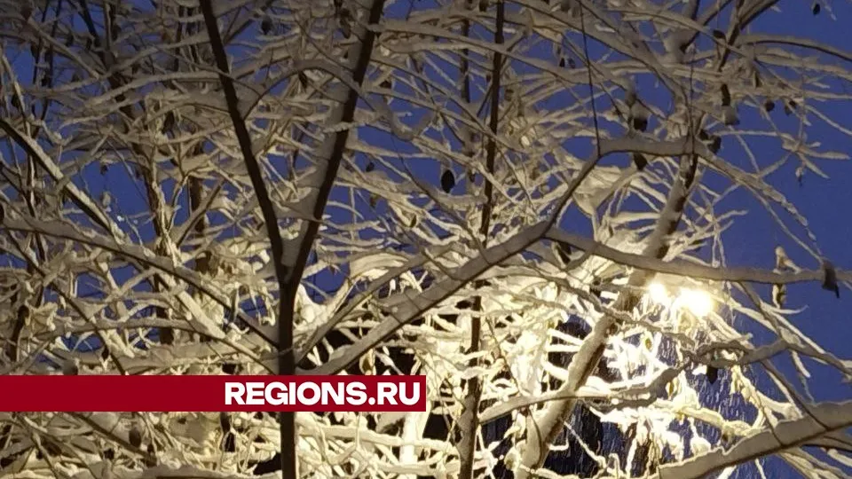 Фото: REGIONS/Юлия Куделькина