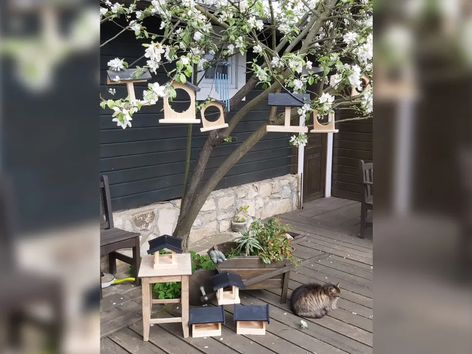 Фото: личный архив Ирины Буряшиной