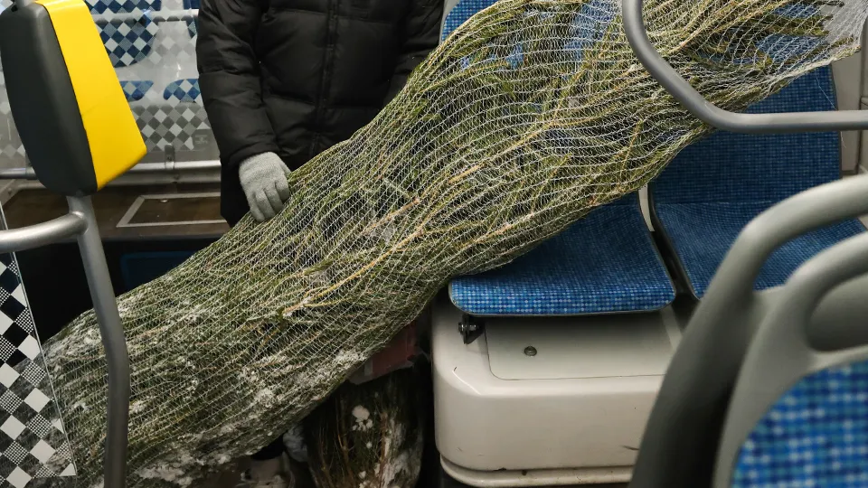 Фото: ТАСС/Антон Новодережкин