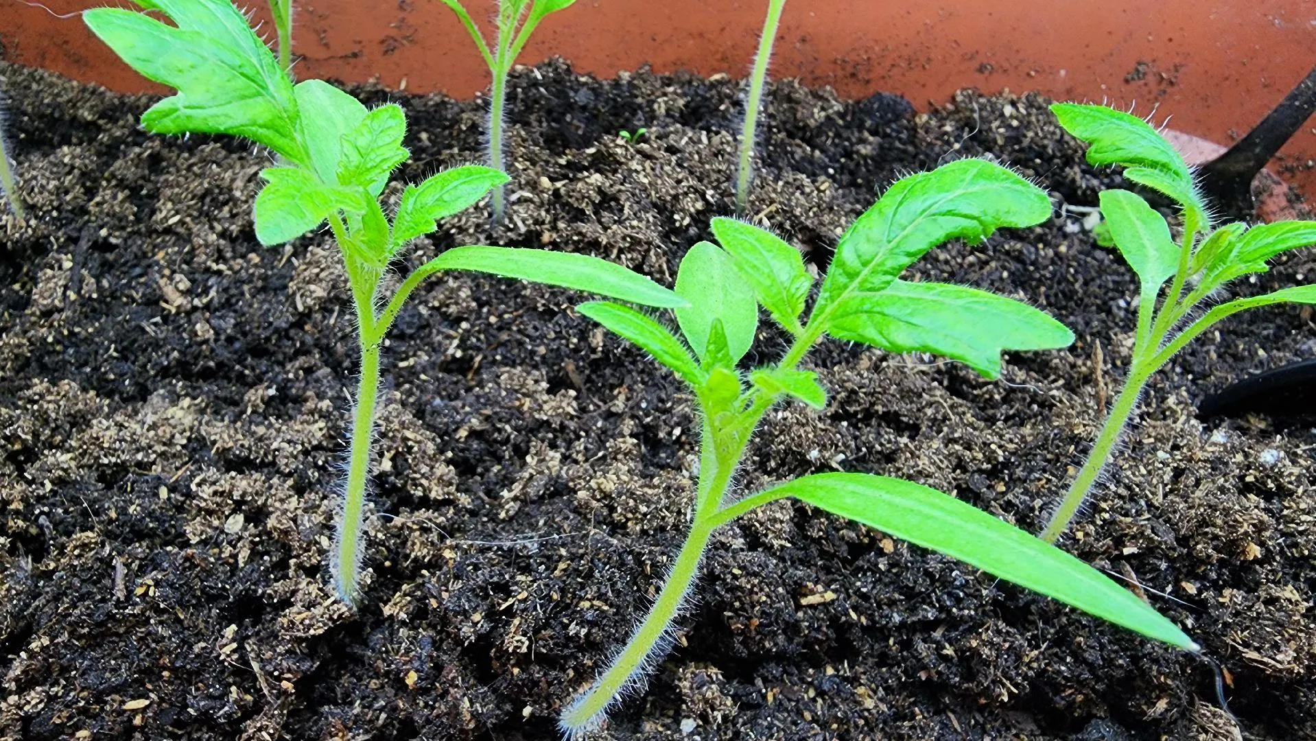 МедиаБанк Подмосковья/Ксения Пашуто