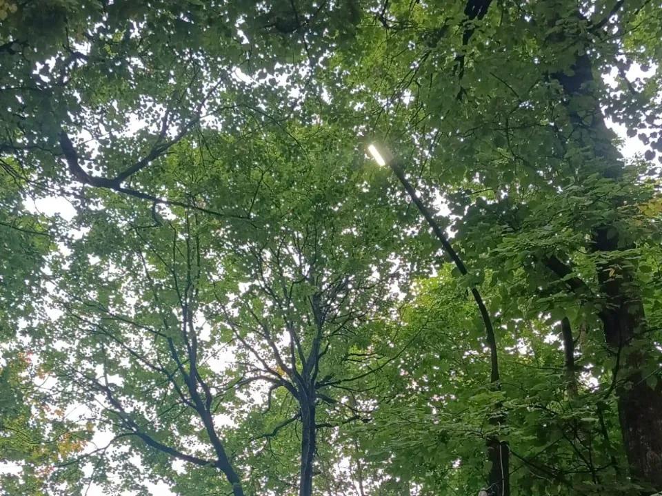 Фото: администрация м.о. Лотошино