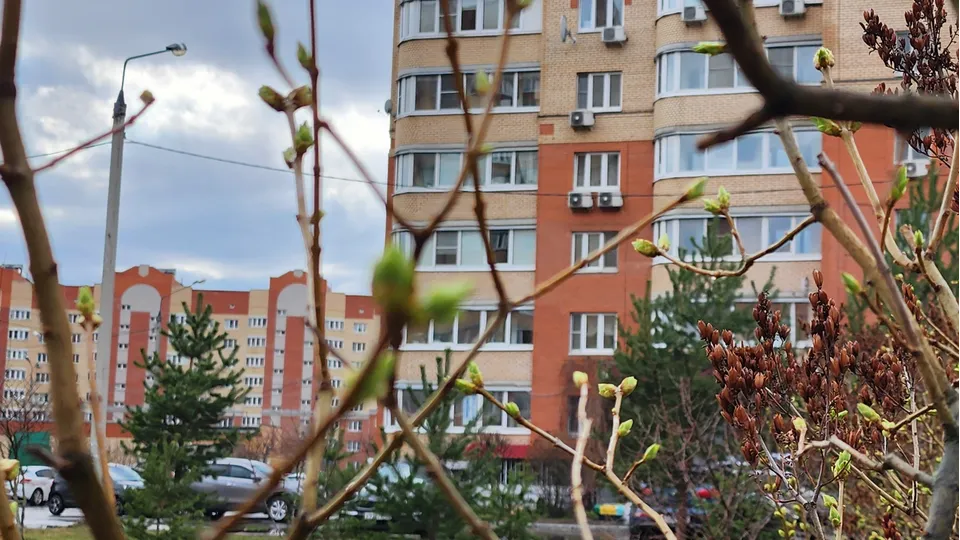 Фото: REGIONS/Наталия Надточая