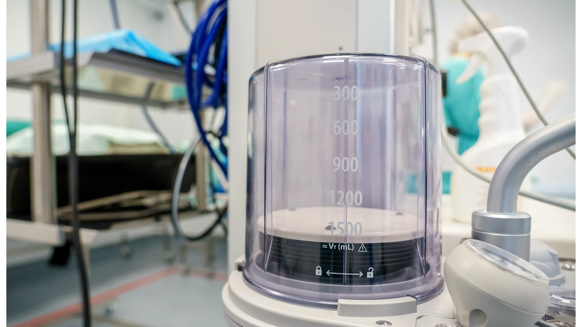 Фото: Медиасток Подмосковья