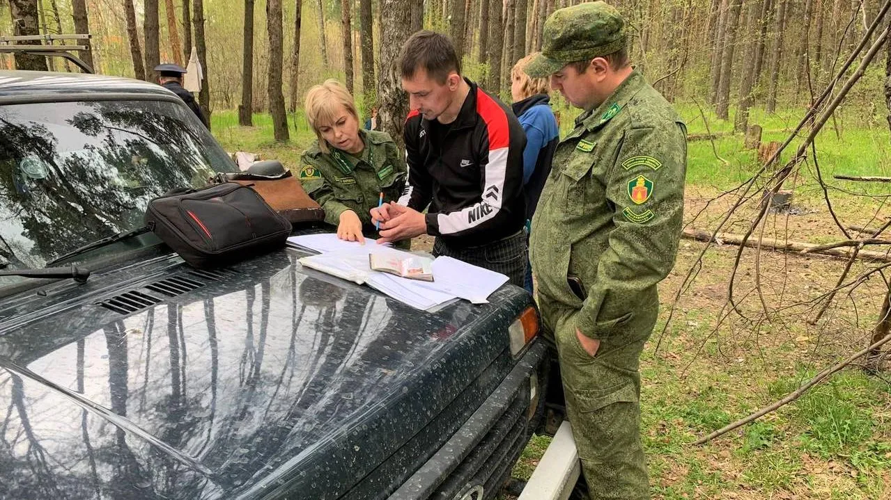 Почти сто случаев нарушения пожарной безопасности выявили в лесах Подмосковья за выходные