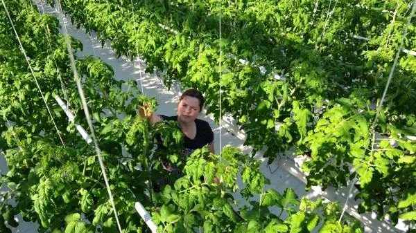 Алексей Сухоруков / РИА Новости