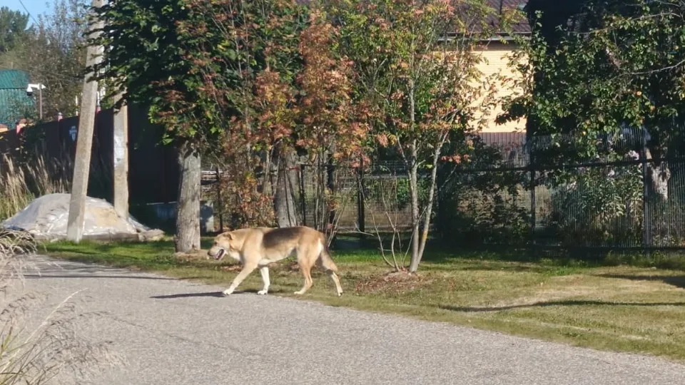 Фото: личный архив Виктора Ерофеева