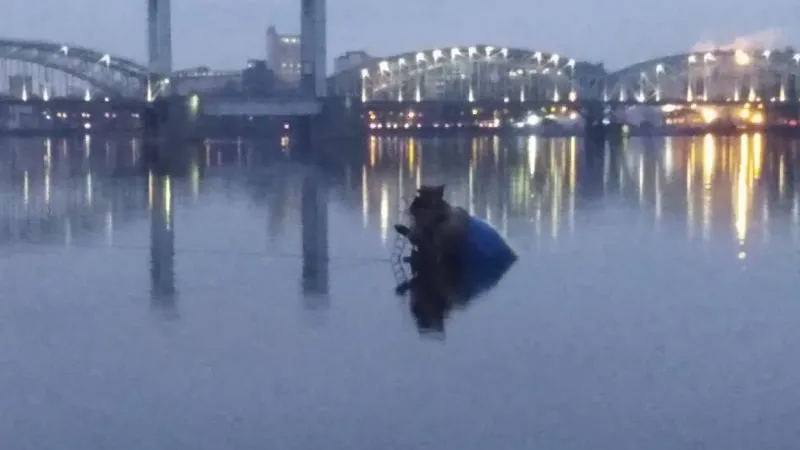 В Петербурге бетономешалка упала в Неву, водитель погиб