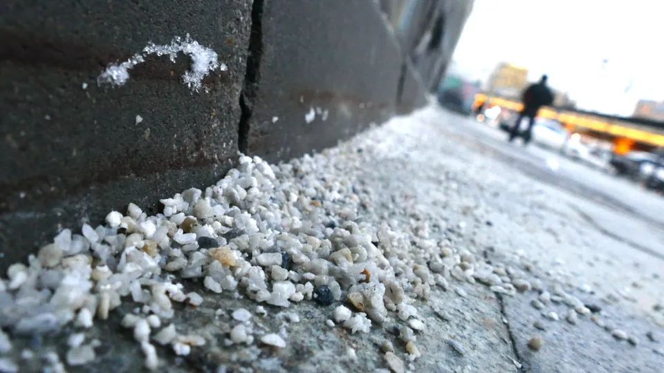 Фото: ТАСС/Ведомости/Максим Стулов