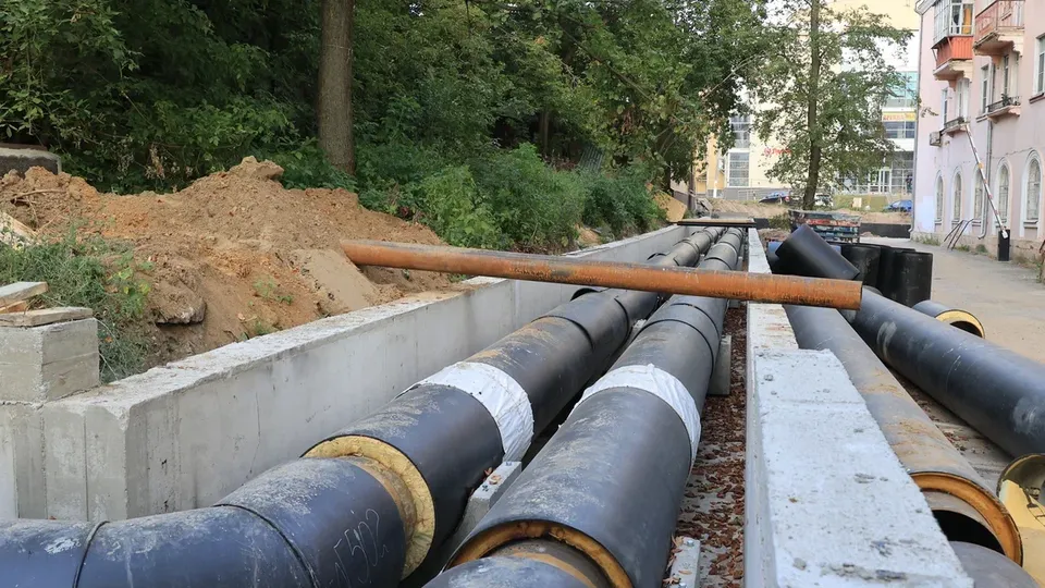 Фото: Алексей Грызлов