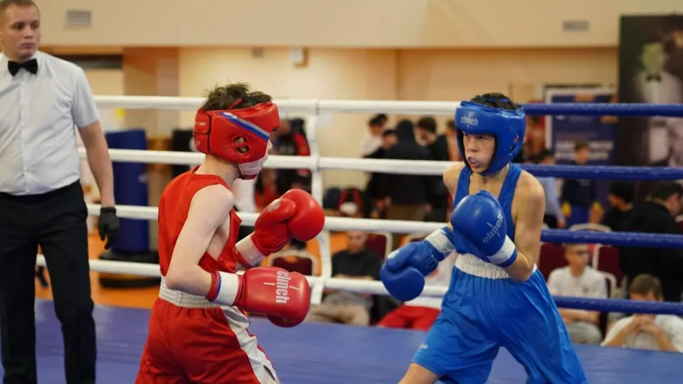 Фото: СШОР по боксу
