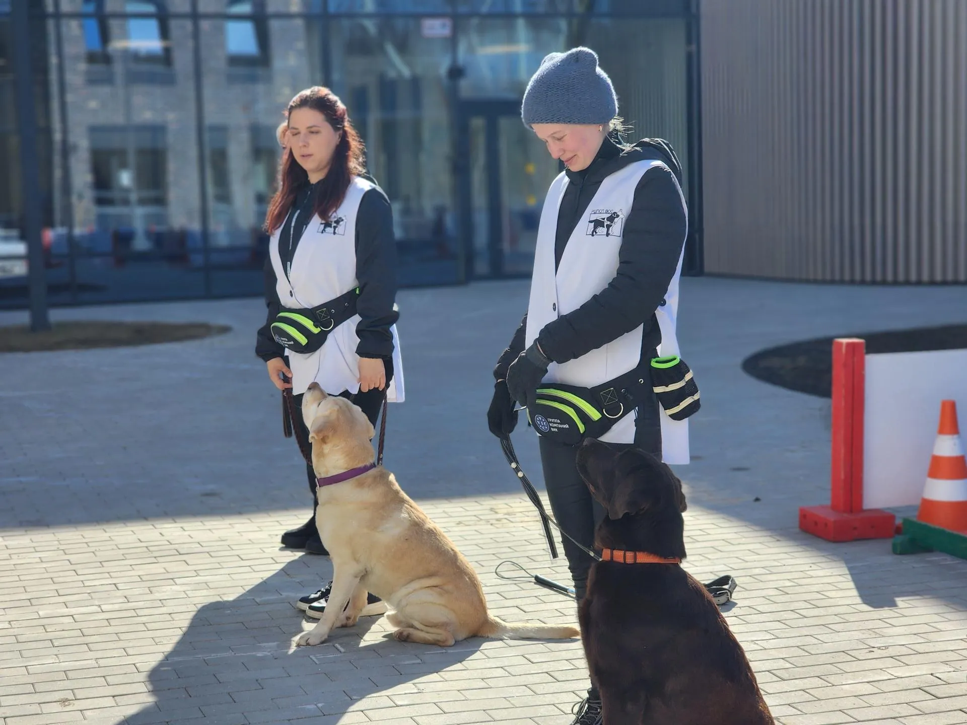 REGIONS/Елена Шумакова