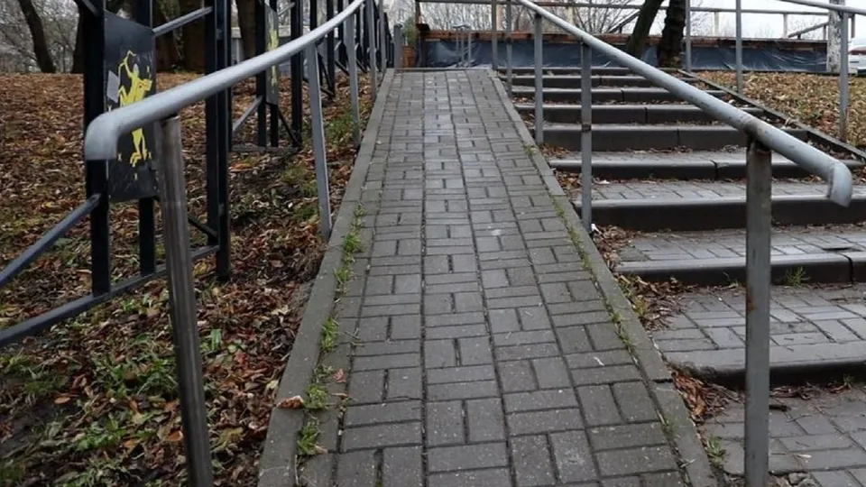 Фото: пресс-служба администрации г.о. Химки