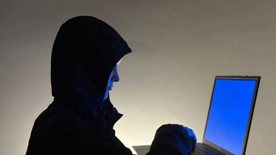 REGIONS/Полина Крачун