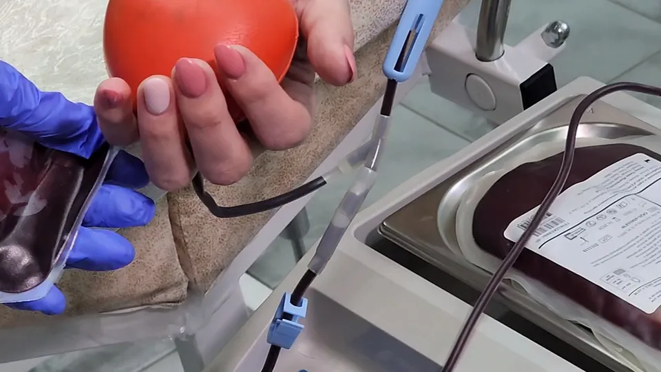 Фото: REGIONS/Никита Сморкалов