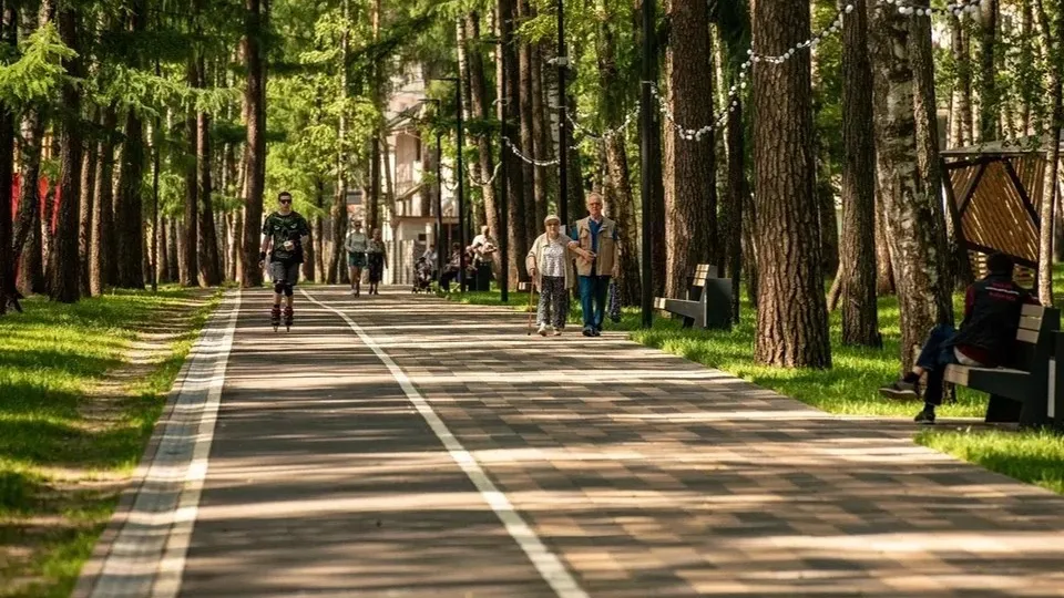 Фото: Министерство благоустройства Московской области