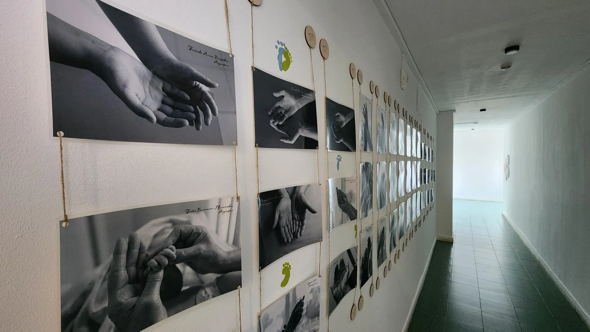 REGIONS/Евгений Рой